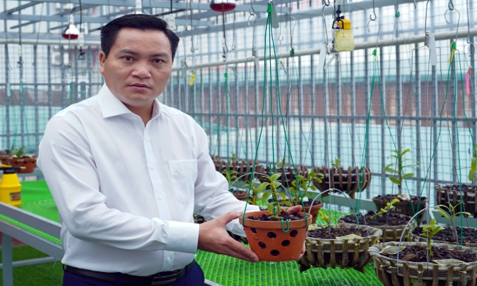 Dương Văn Lập: Chàng trai 8X bất ngờ chuyển hướng đầu tư vào hoa lan bởi những lợi ích thiết thực